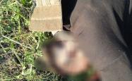 关于手足相残的竞技战场，惊险刺激的信息