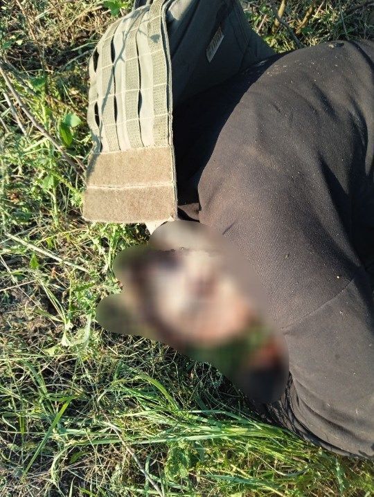 关于手足相残的竞技战场，惊险刺激的信息